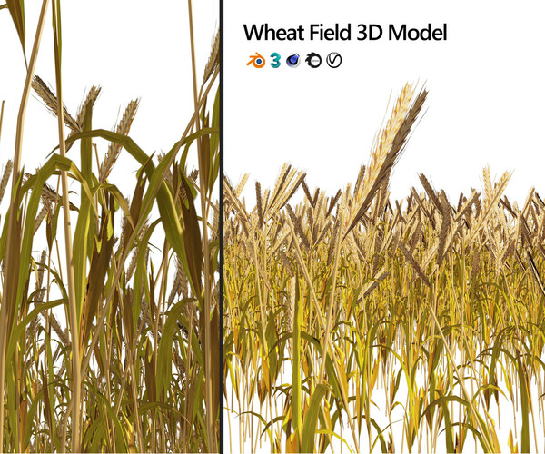 Artstation Golden Wheat Field Game Assets