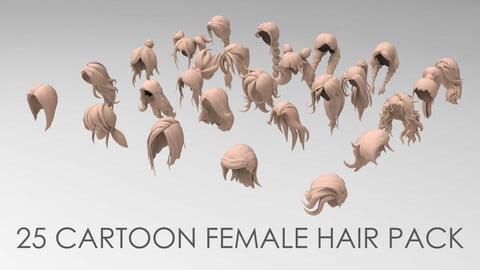 25 cartoon female hair pack
