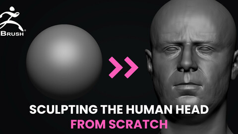 SCULPTING THE HUMAN HEAD FROM SCRATCH - NOT NARRATED
