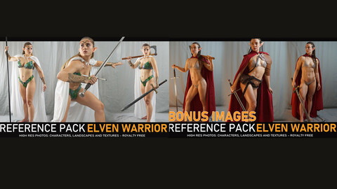 Elven Warrior  500+ images including 360° Turnarounds  +Bonus Pack