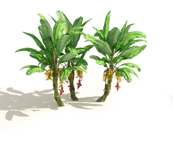 ArtStation - Banana tree plant cluster | Resources
