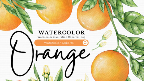 Orange - watercolor clipart set