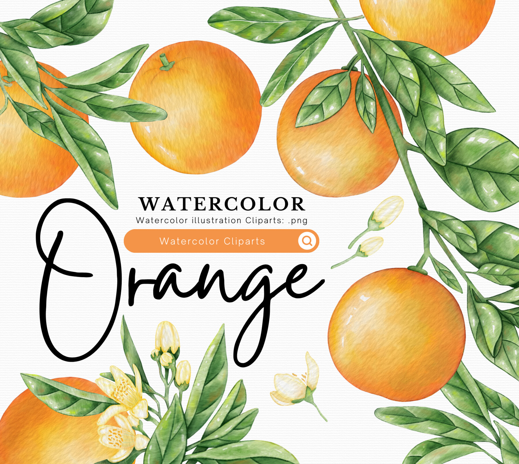 ArtStation - Orange - watercolor clipart set | Artworks