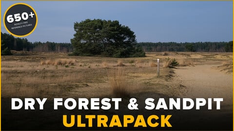 650+ Dry Forest & Beach Reference Pictures Ultrapack - Pine trees, Tree trunks, Lake, Sand Pit