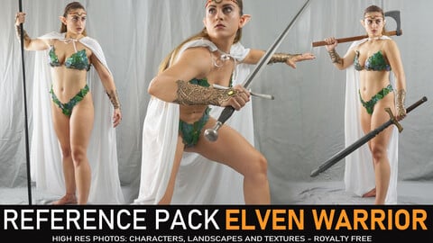 Elven Warrior  500+ images including 360° Turnarounds  +Bonus Pack
