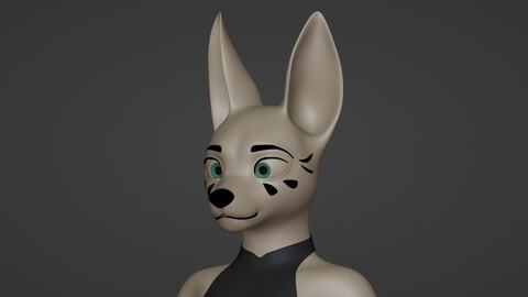 Furry Girl Basemesh 3D model