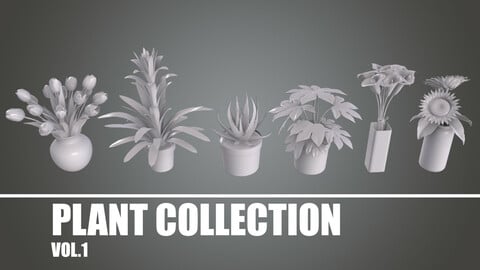 Plant Collection VOL.1 - Base Mesh