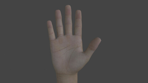 HAND.036 Counting Animation