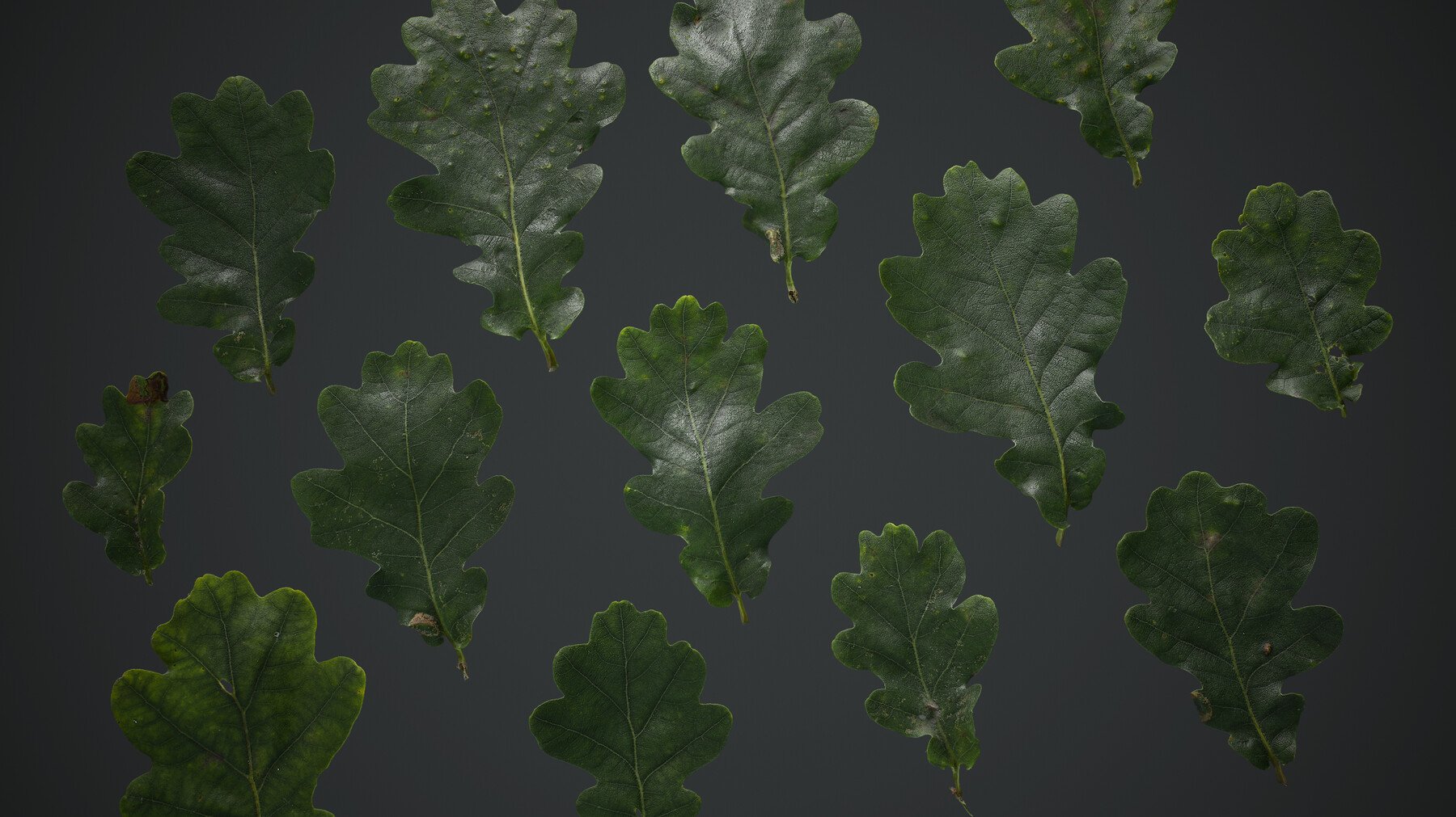 Artstation Leaf Materials Common British Trees Game Assets