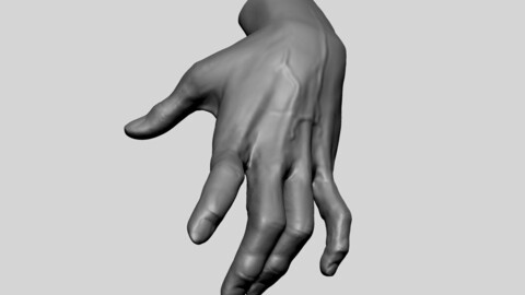 Hand Model A