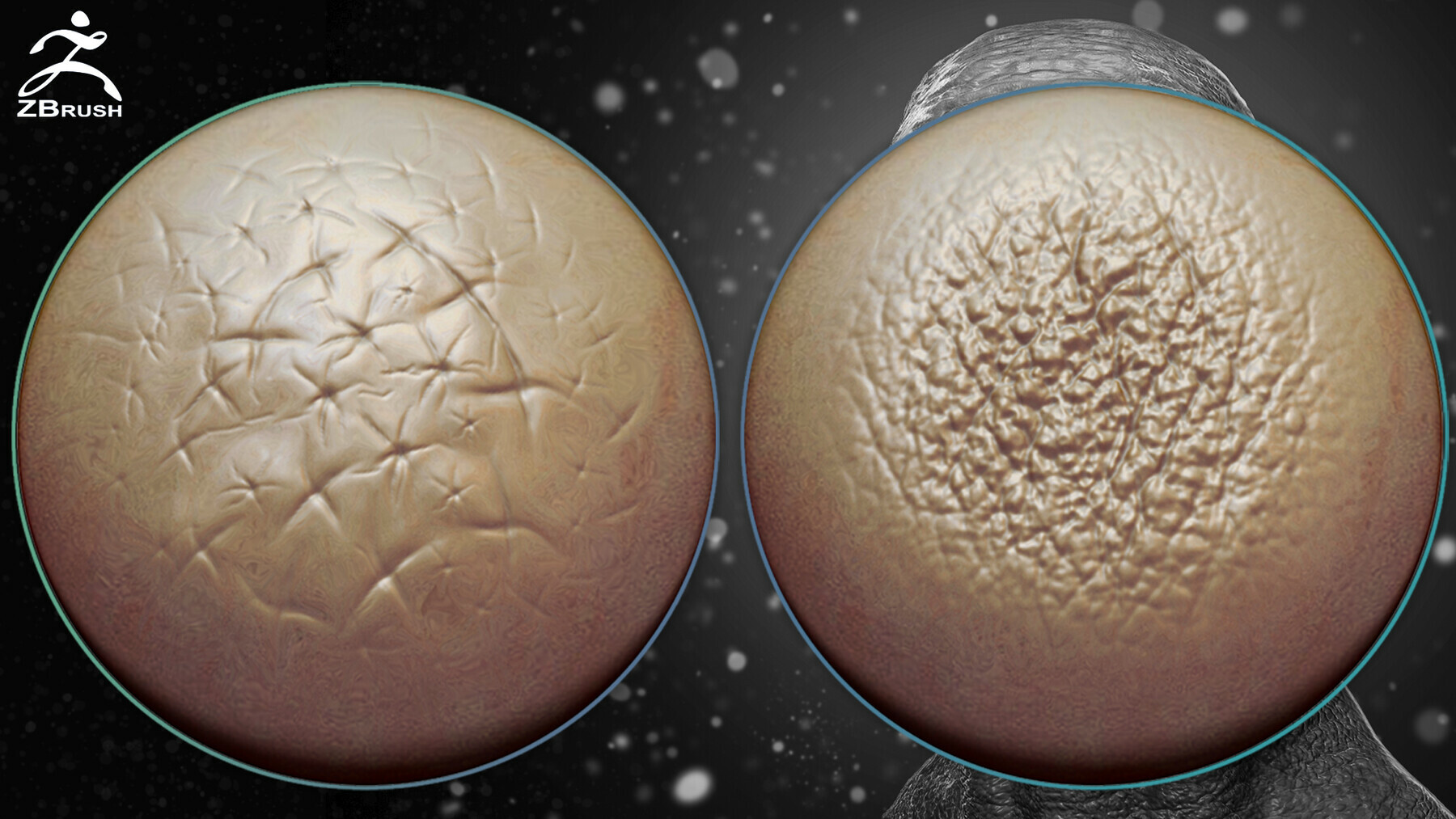 Skin Alphas for ZBrush + Video Tutorial preview 1