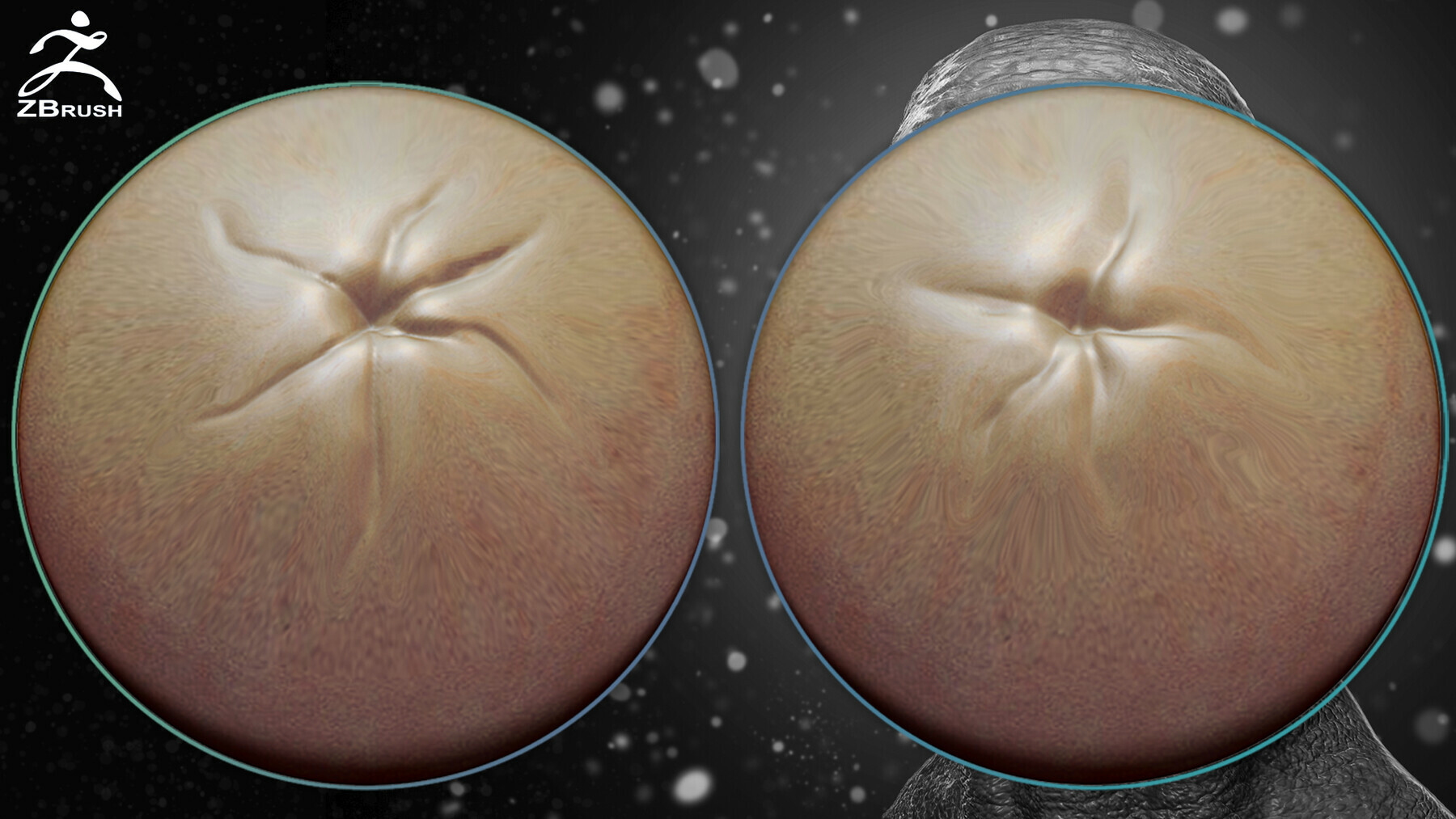 Skin Alphas for ZBrush + Video Tutorial preview 3