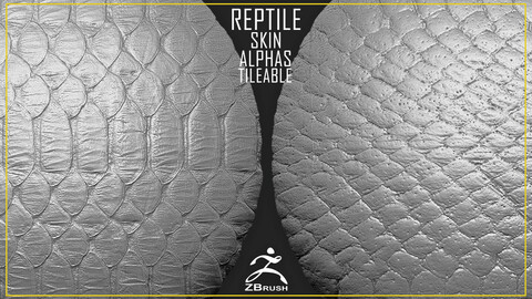 Reptile Skin Alphas Tileable (ZBrush, 2K)