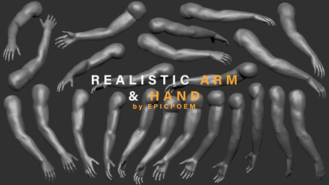 Realistic arm and hand base mesh - ztl and obj (high poly and low poly) included