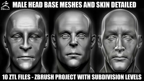 Male Head Base Meshes With Skin Details