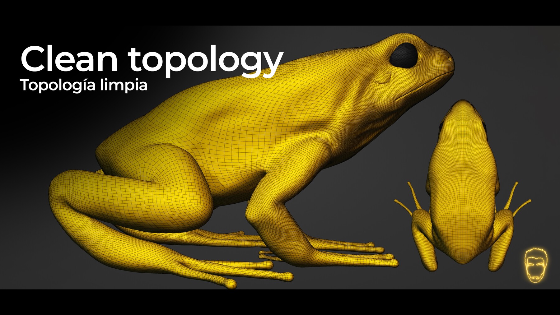 ArtStation 3D POISON ARROW FROG Resources   File 