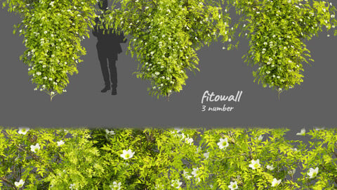 Collection plant vol 358 - bush - outdoor - leaf - fitowall - ivy - blender - 3dmax - cinema 4d