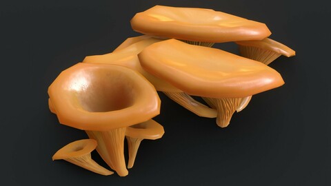 Jack-O'-Lantern Mushrooms Set