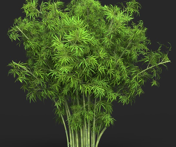 ArtStation - Realistic Game Ready Bamboo Tree 15 | Resources