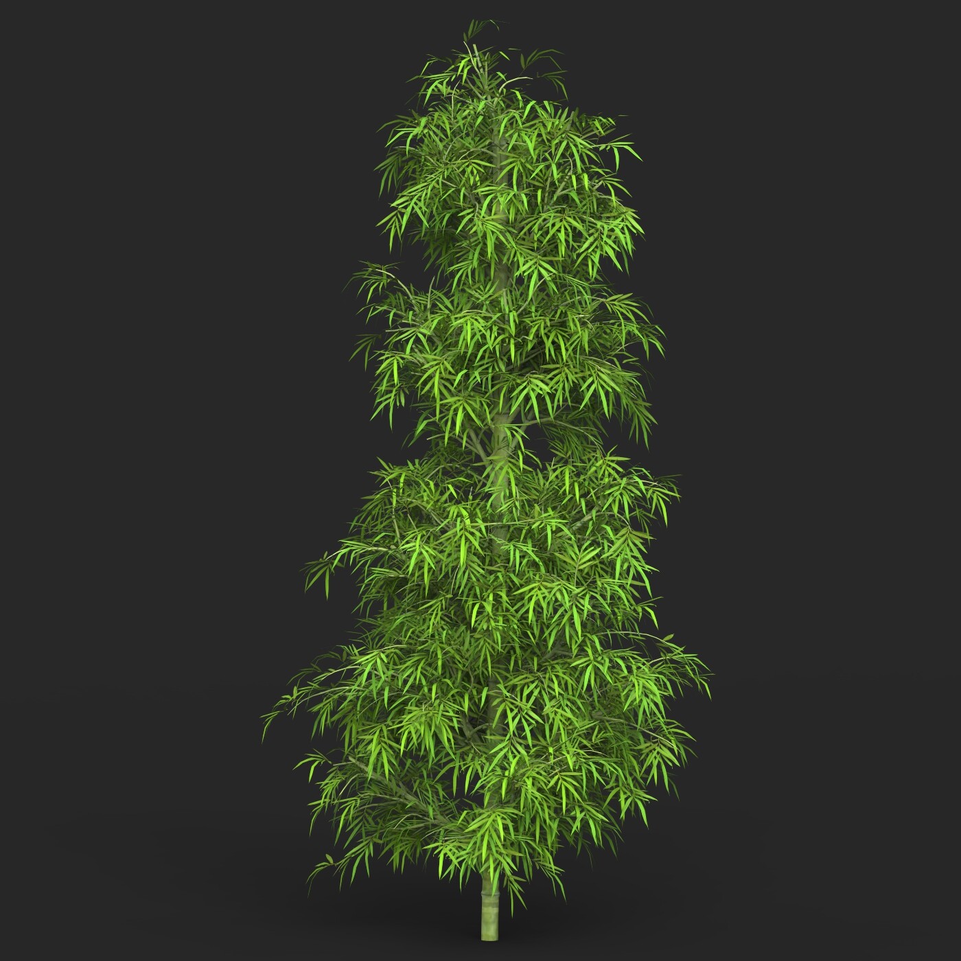 ArtStation - Bamboo Tree Collection | Resources