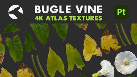 4K Bugle Vine Atlas Textures