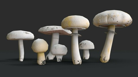 Agaricus Mushrooms Set