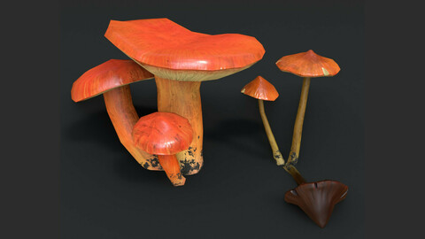 Crimson Waxcap and Witch Hat Mushrooms Set