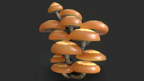 Sheathed Woodtuft Mushrooms Set