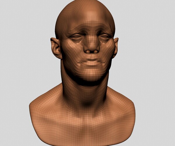 ArtStation - Creature Head Models for Reference | Resources