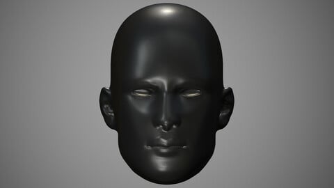 Printable Human Head STL