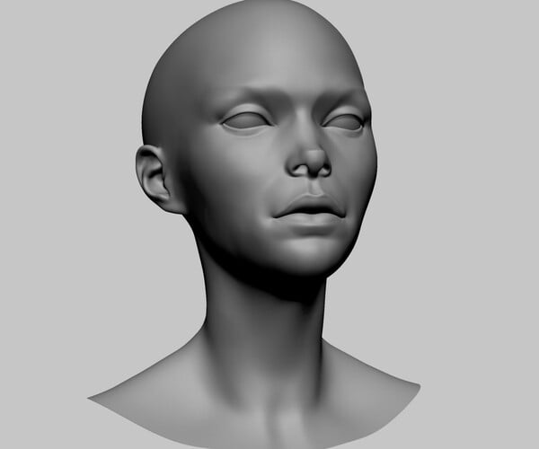 ArtStation - Stylized Head Basemesh A | Resources