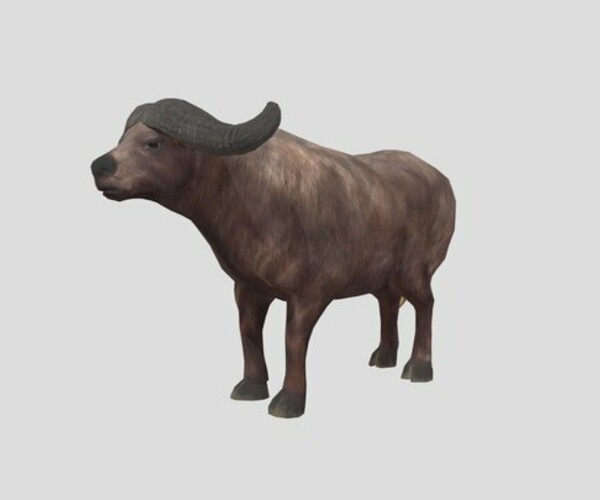 ArtStation - Buffalo-02 | Game Assets