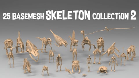 25 basemesh skeleton collection 2