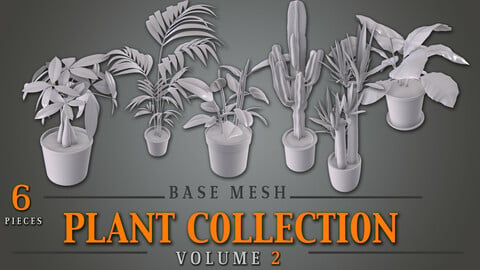 Plant Collection VOL. 2 - Base Mesh