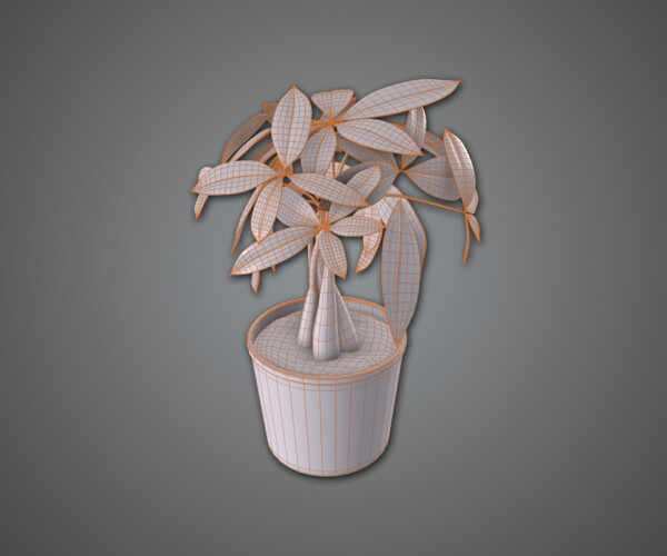 product thumbnail 7