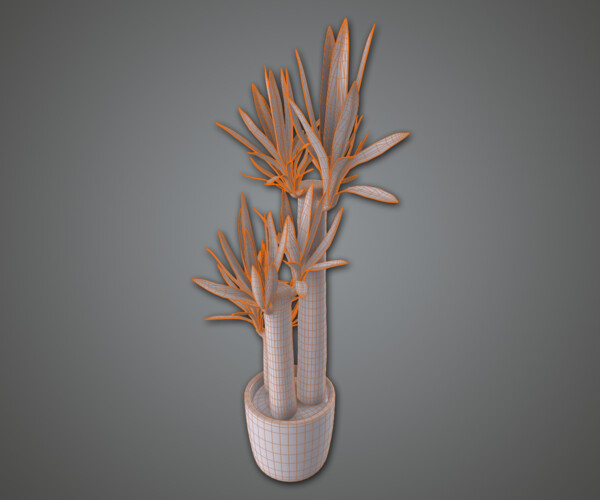 product thumbnail 11