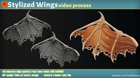 Stylized Wings Video Process