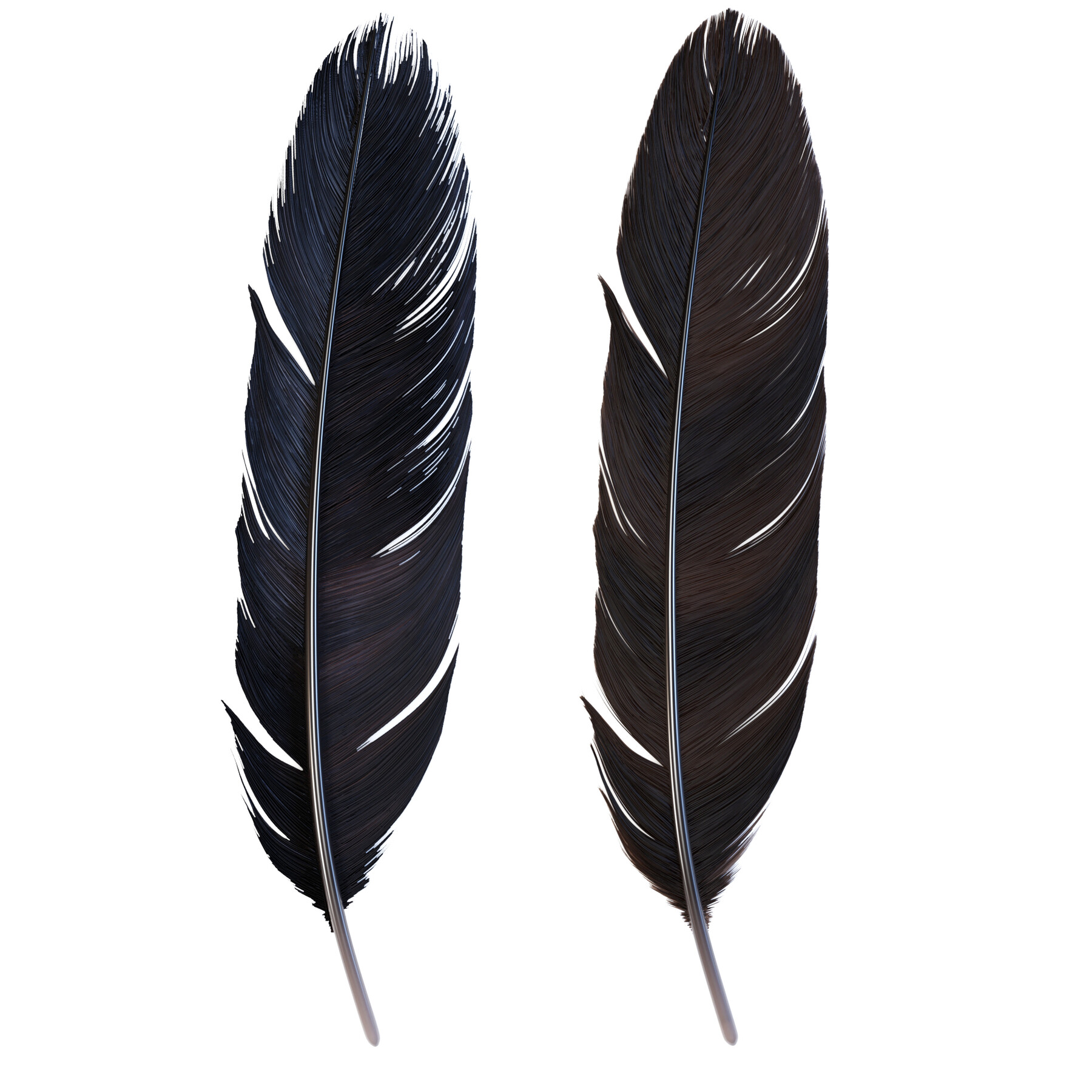 ArtStation - Crow Feather | Resources