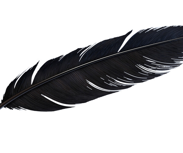 ArtStation Crow Feather Resources