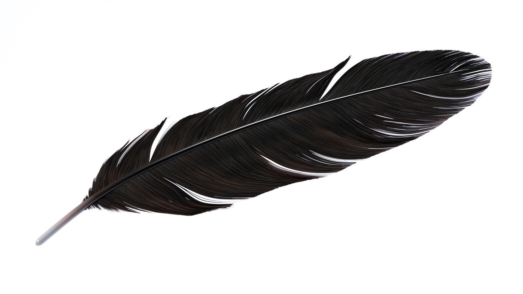 ArtStation - Crow Feather | Resources