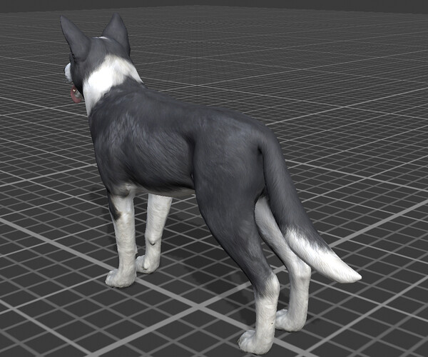 ArtStation - Dog - Border Collie | Game Assets