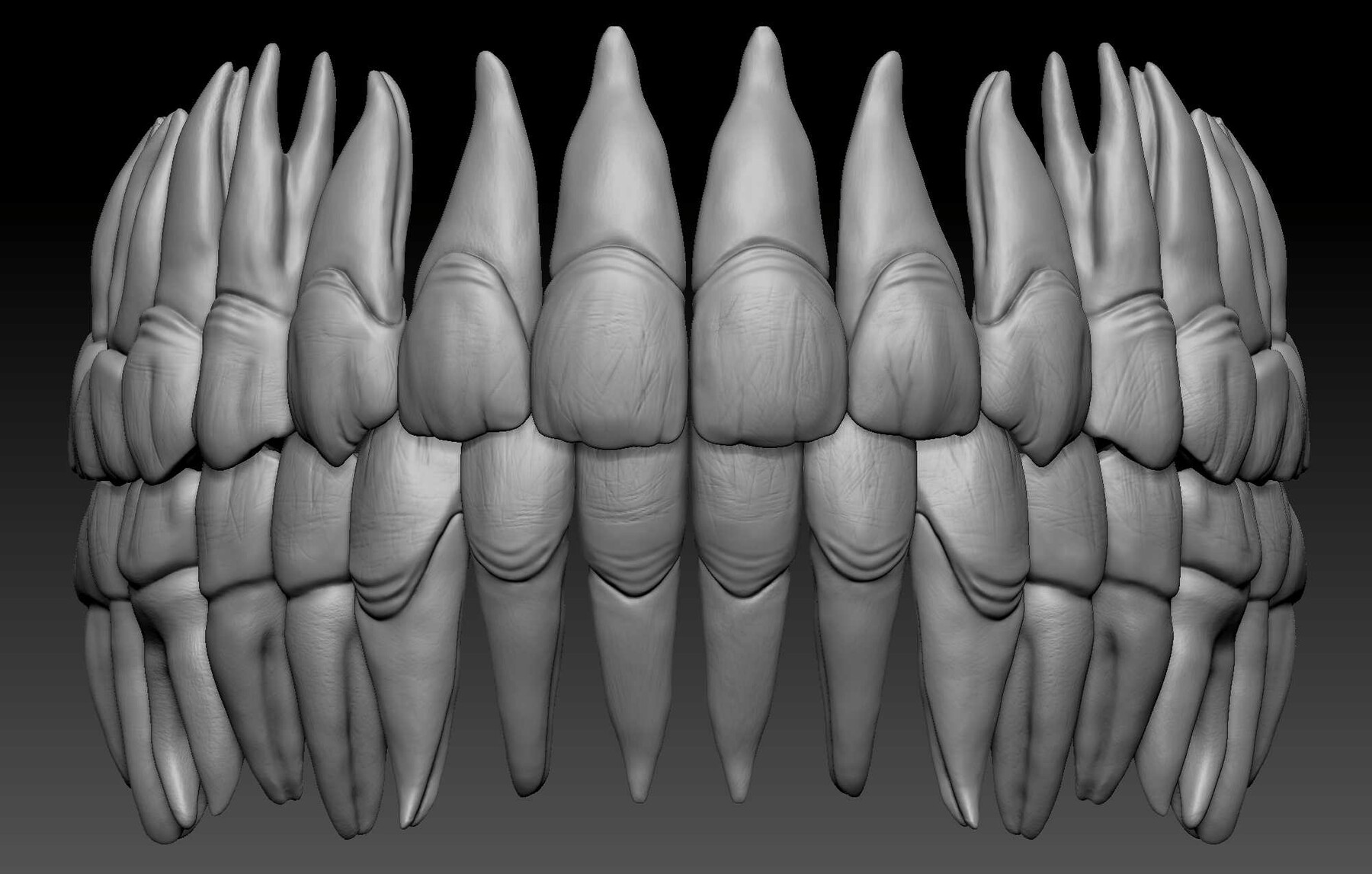 artstation-human-teeth-model-game-assets