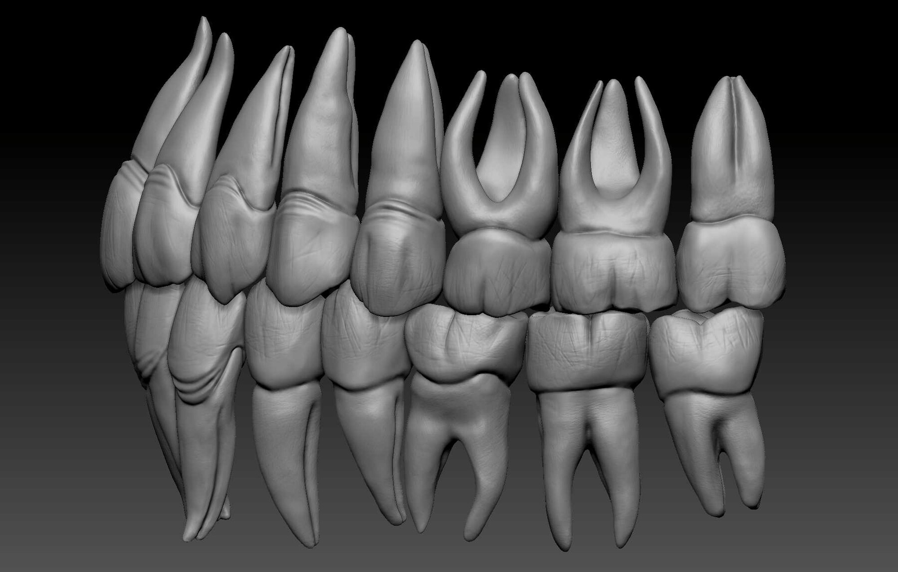 artstation-human-teeth-model-game-assets