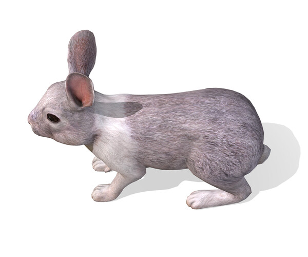 ArtStation - Rabbit | Game Assets