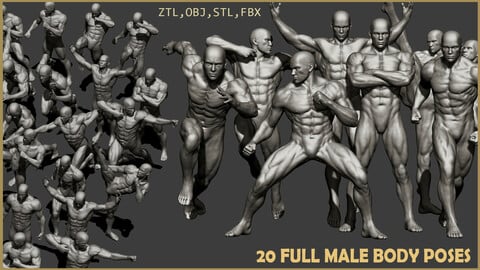 20 Male full body poses ZTL+OBJ+STL+FBX