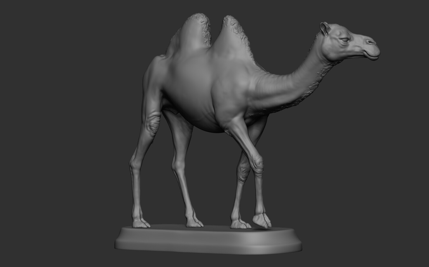 ArtStation - Camel | Resources