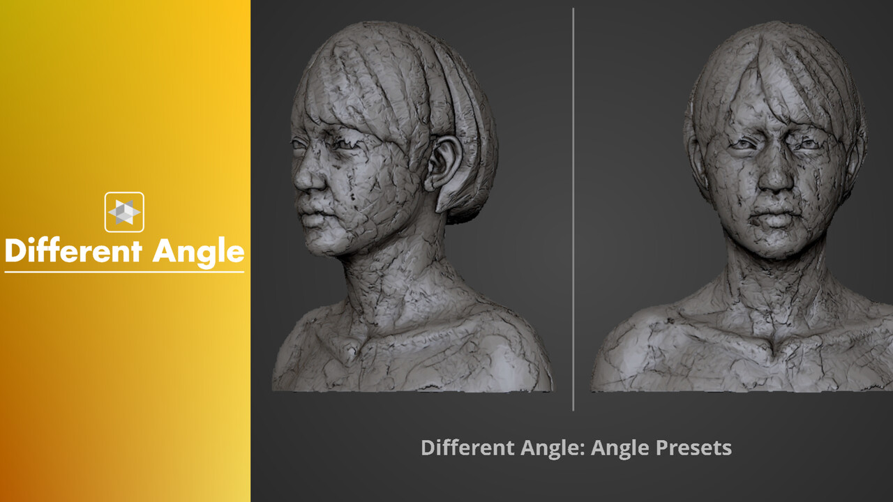 how to have multiple angles of a model in zbrush