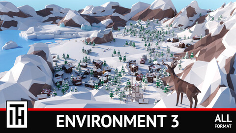 Environment 3