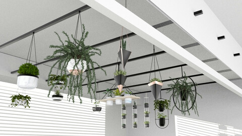 Hanging potted plants