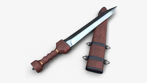 Roman Sword - Wooden Gladius